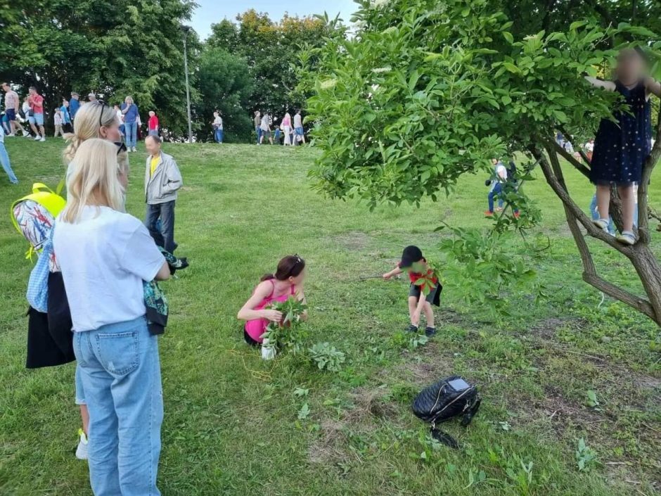 Po Joninių teks atsodinti medžius Santakos parke?