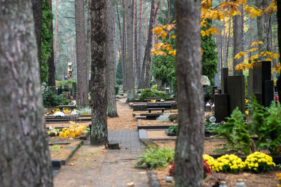 Petrašiūnų panteone – ekskursija žodžio keliu