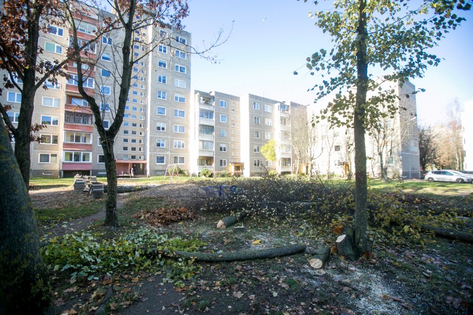 Įžūlu: Kaune medžius išpjovė be leidimų – gresia tūkstantinė bauda