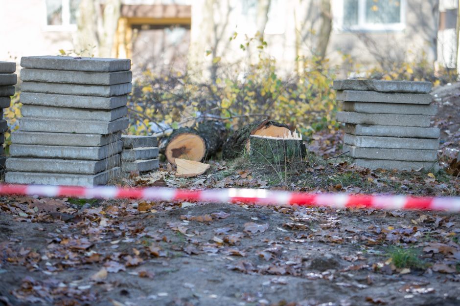 Įžūlu: Kaune medžius išpjovė be leidimų – gresia tūkstantinė bauda