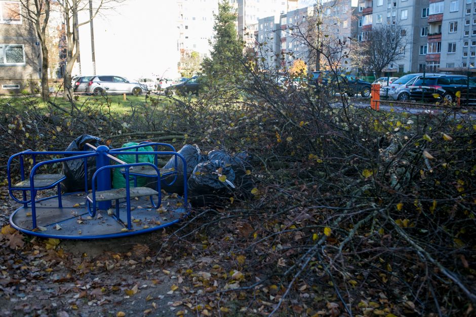 Įžūlu: Kaune medžius išpjovė be leidimų – gresia tūkstantinė bauda