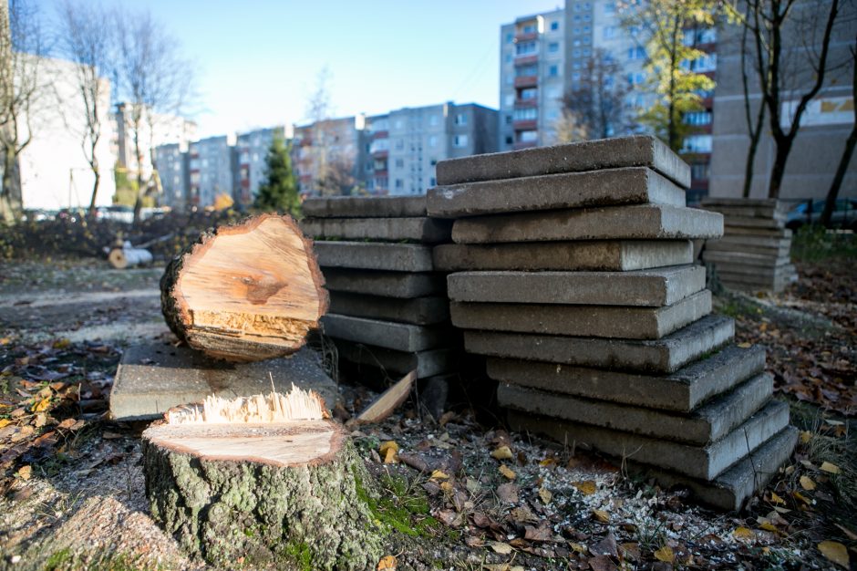 Įžūlu: Kaune medžius išpjovė be leidimų – gresia tūkstantinė bauda