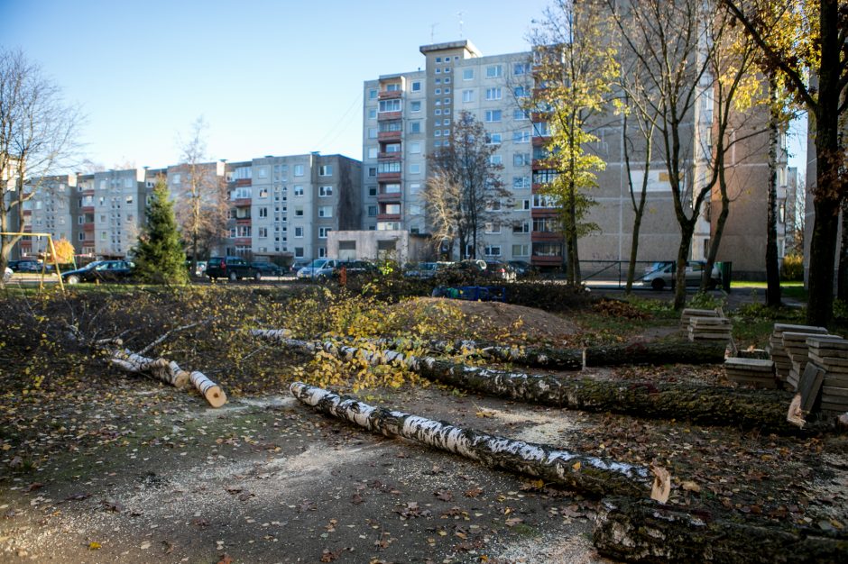 Įžūlu: Kaune medžius išpjovė be leidimų – gresia tūkstantinė bauda