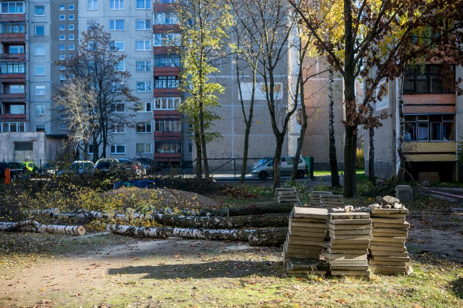 Įžūlu: Kaune medžius išpjovė be leidimų – gresia tūkstantinė bauda