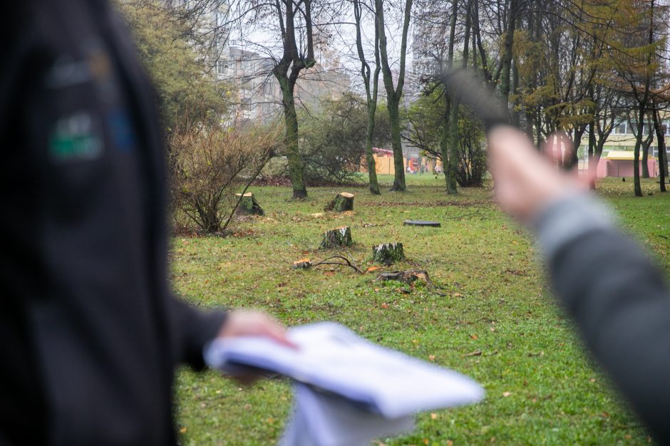 Eiguliuose netyla ginčai: gyventojai dėl svajonių kiemo aukoja medžius