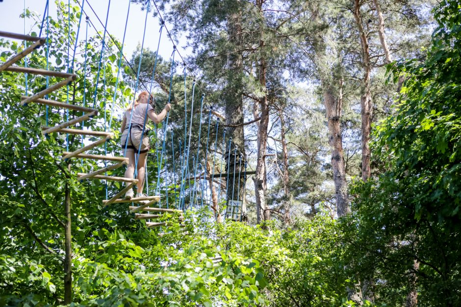 Kitokie mokslo metai, kitokia ir jų pabaiga: nuo kompiuterių – į pramogas po atviru dangumi