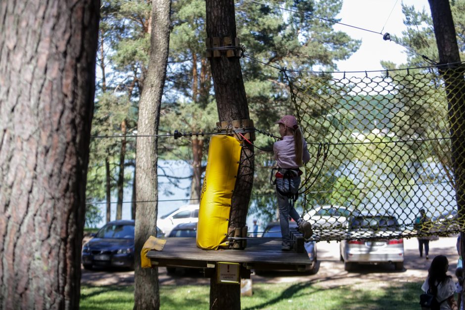 Kitokie mokslo metai, kitokia ir jų pabaiga: nuo kompiuterių – į pramogas po atviru dangumi