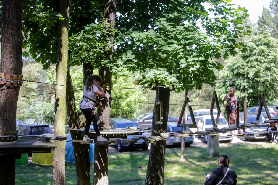 Kitokie mokslo metai, kitokia ir jų pabaiga: nuo kompiuterių – į pramogas po atviru dangumi