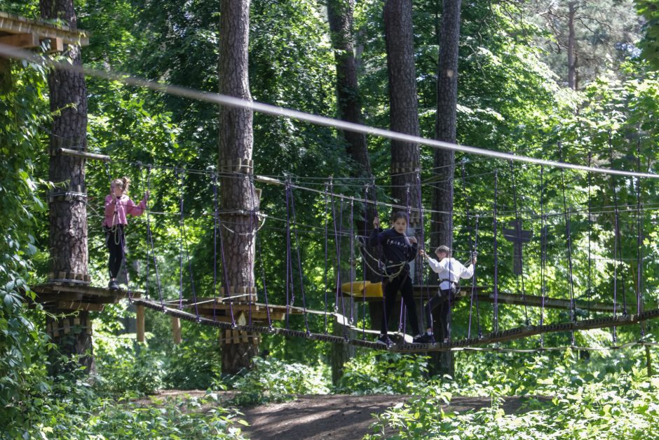 Kitokie mokslo metai, kitokia ir jų pabaiga: nuo kompiuterių – į pramogas po atviru dangumi