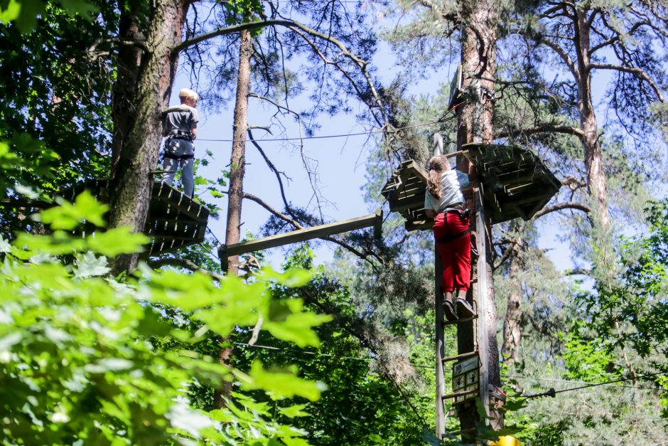 Kitokie mokslo metai, kitokia ir jų pabaiga: nuo kompiuterių – į pramogas po atviru dangumi