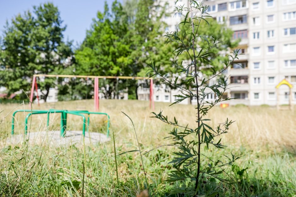 Gyventoja: vaikų žaidimo aikštelė – atnaujinta, bet į ją baisu įžengti