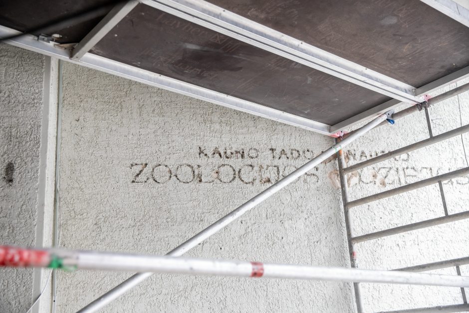 T. Ivanausko zoologijos muziejuje – pokyčiai: vaizdas bus visai kitoks