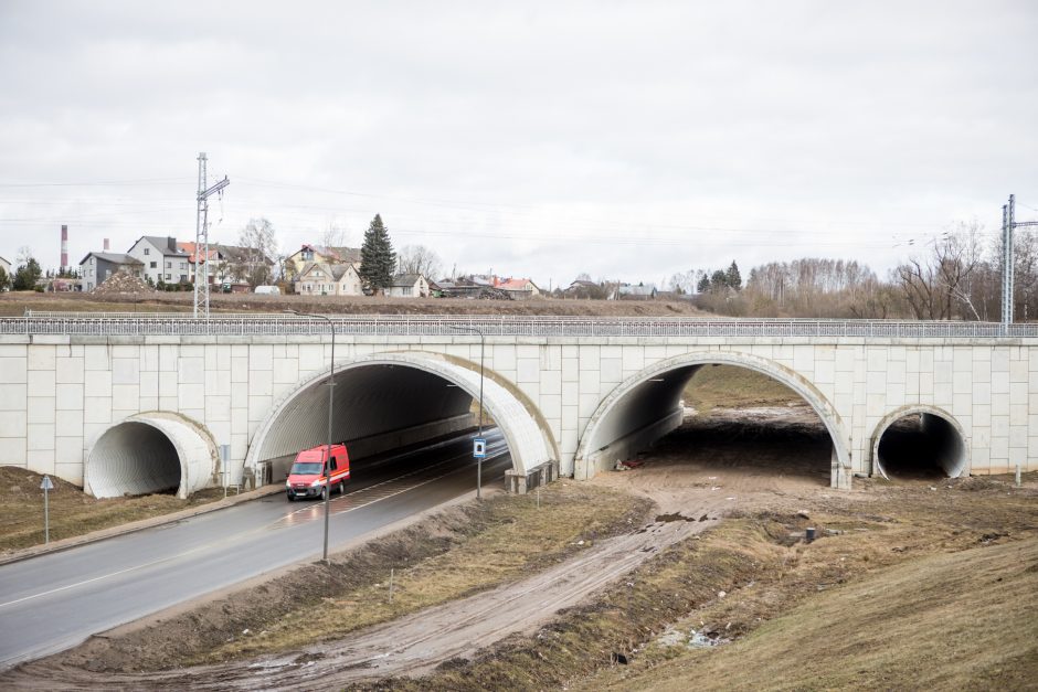 Greitai pajudės Kauno aplinkkelio statyba