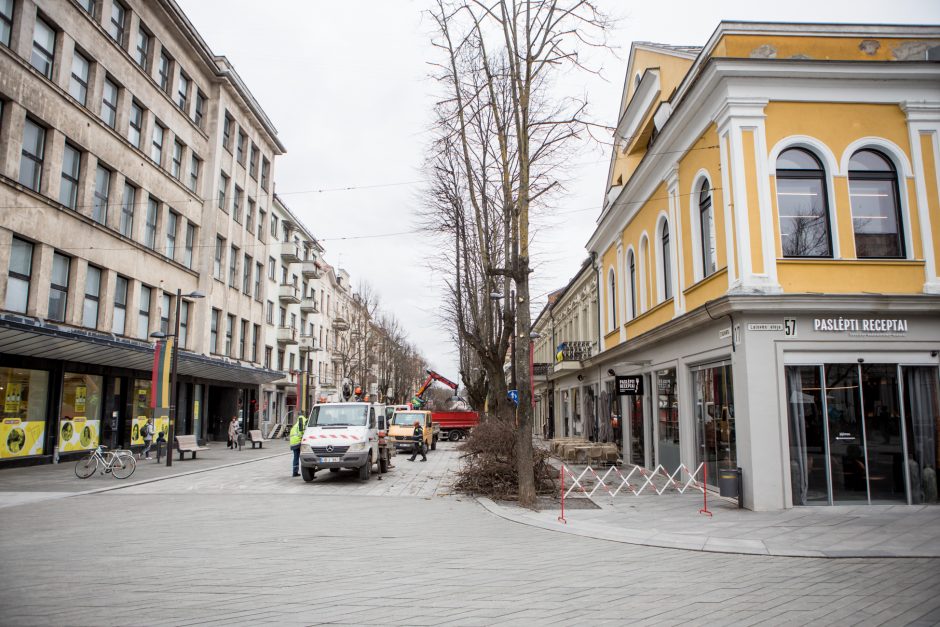 Nugenėjus Laisvės alėjos liepas, neliko ir lizdo