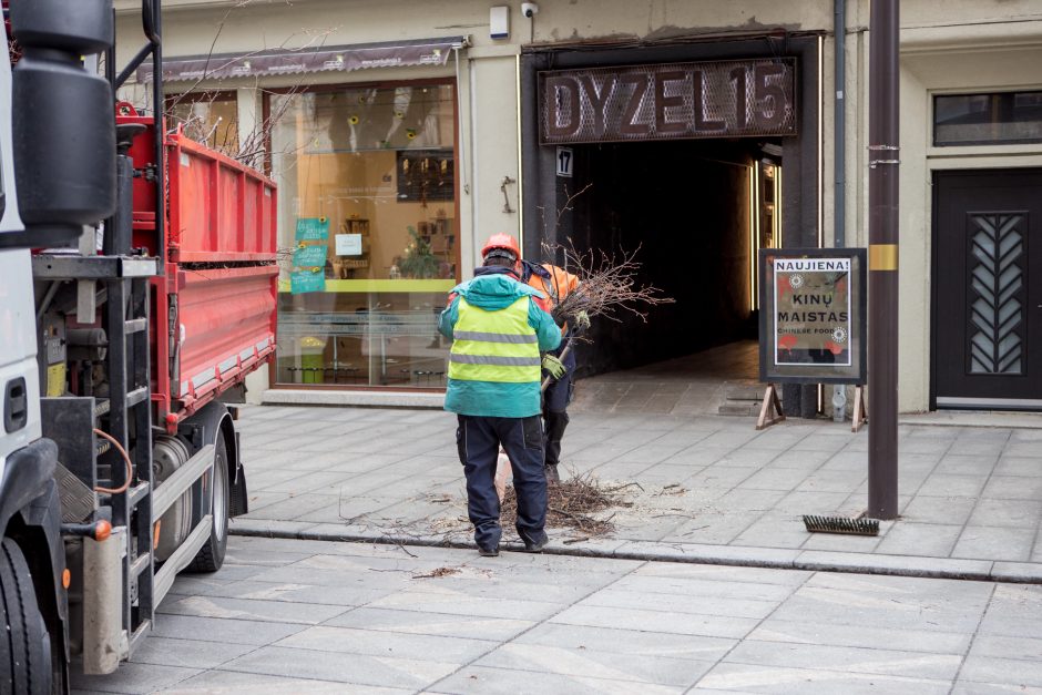 Nugenėjus Laisvės alėjos liepas, neliko ir lizdo