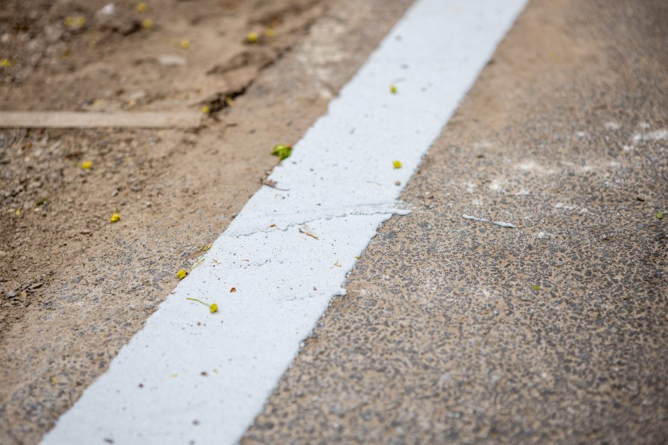 Dviračių takas Ąžuolyne: vieniems primena automagistralę, kitiems – pakilimo taką 