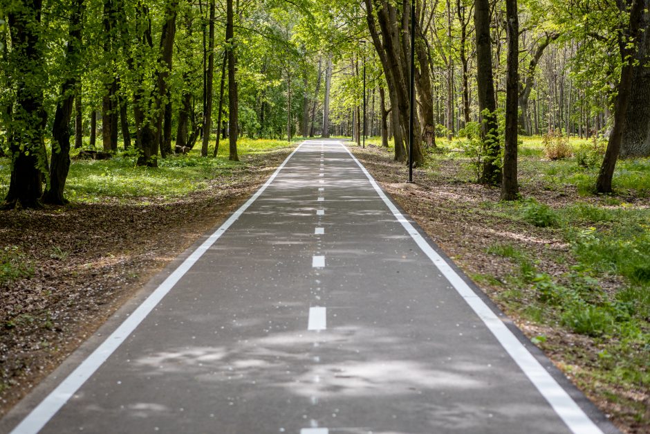 Dviračių takas Ąžuolyne: vieniems primena automagistralę, kitiems – pakilimo taką 