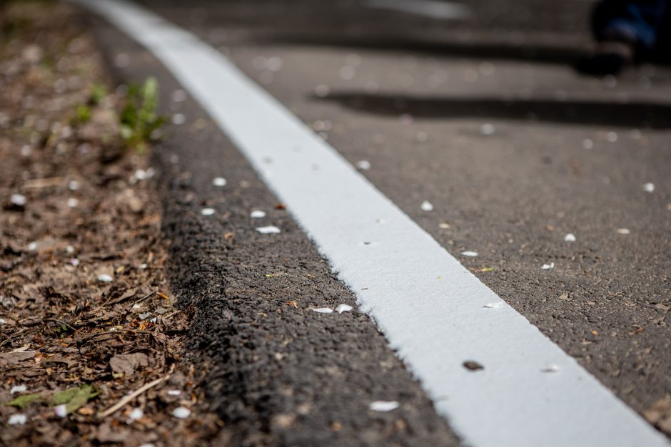 Dviračių takas Ąžuolyne: vieniems primena automagistralę, kitiems – pakilimo taką 