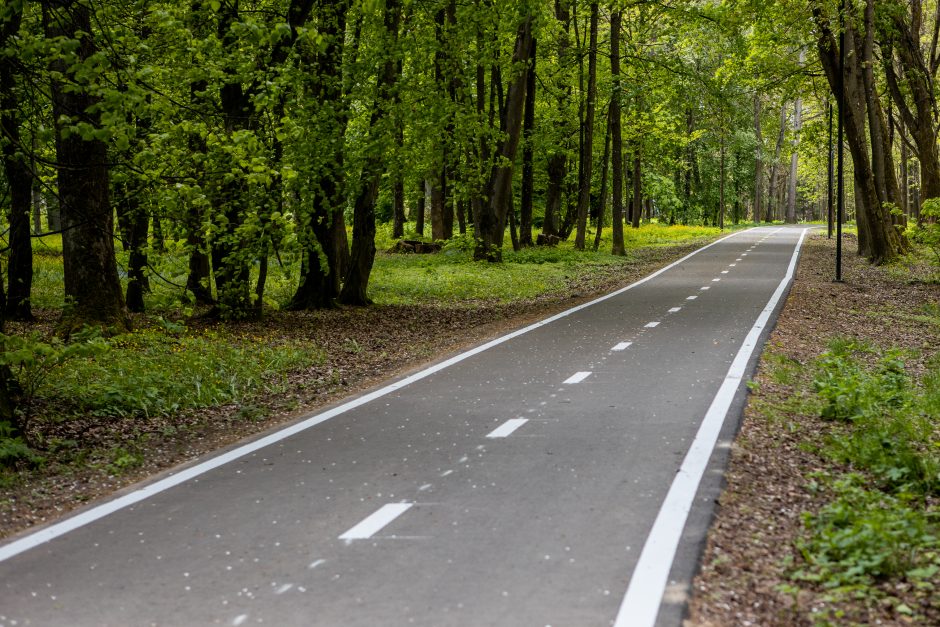 Dviračių takas Ąžuolyne: vieniems primena automagistralę, kitiems – pakilimo taką 