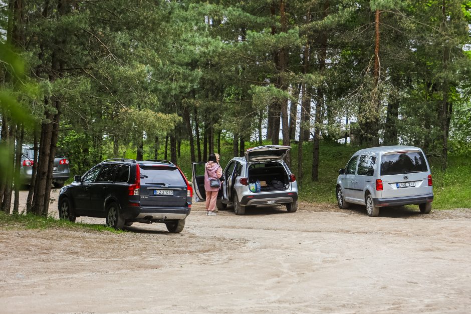 Valdininkų piknikas: darbo metu ir su brendžiu