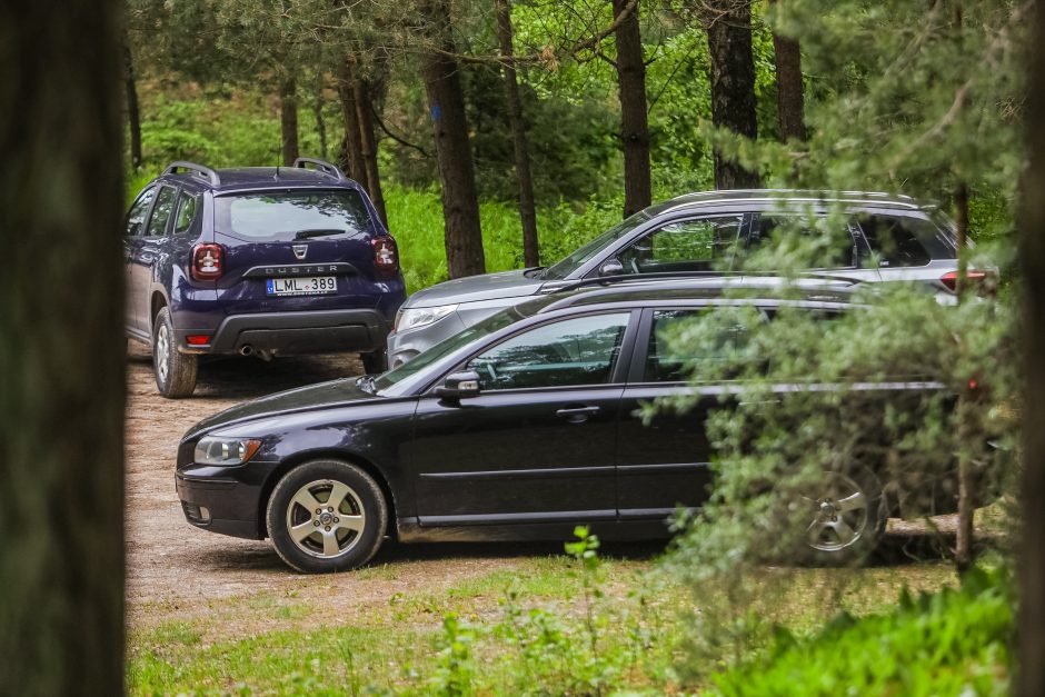 Valdininkų piknikas: darbo metu ir su brendžiu