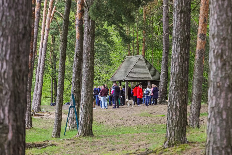 Valdininkų piknikas: darbo metu ir su brendžiu