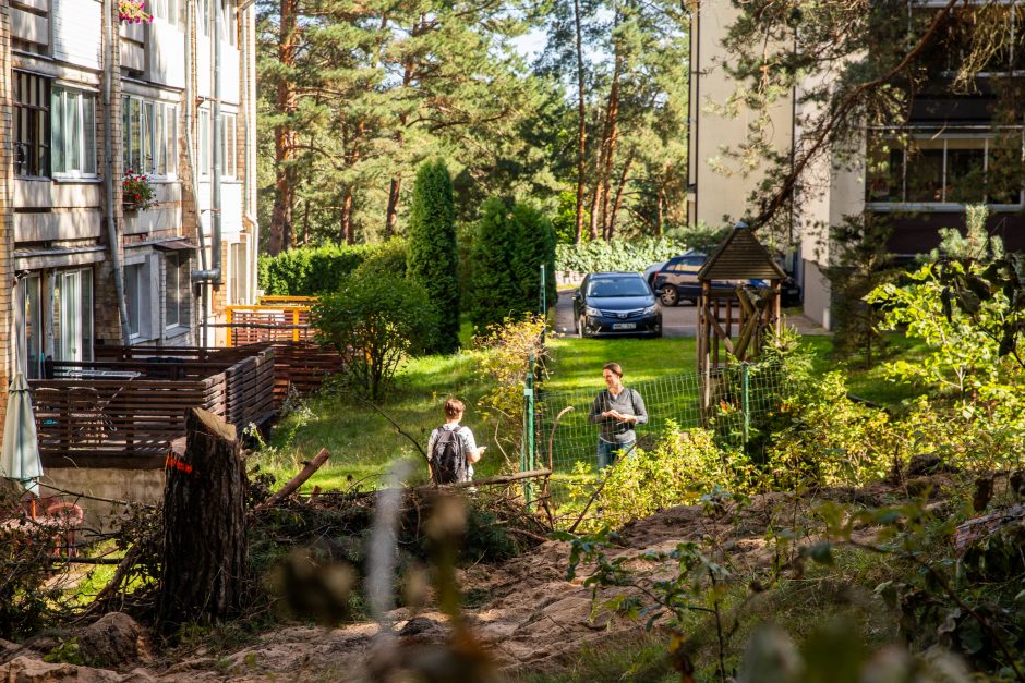 Įžūlumas Karmėlavoje: kad įvažiuotų į sklypą, iškirto parko pušis