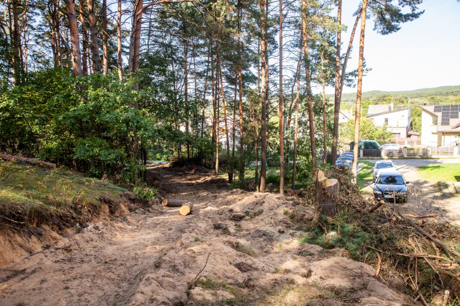 Įžūlumas Karmėlavoje: kad įvažiuotų į sklypą, iškirto parko pušis