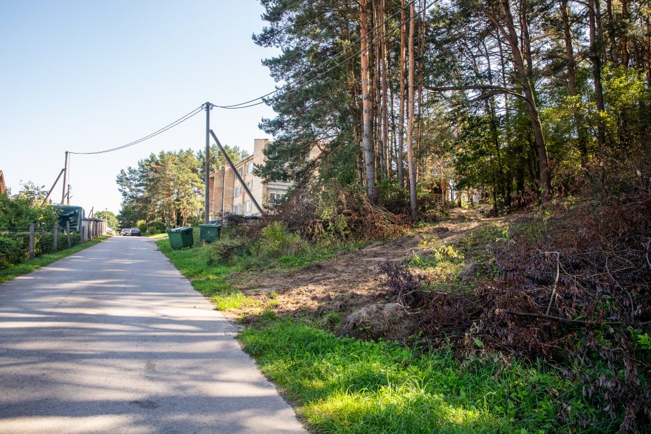 Įžūlumas Karmėlavoje: kad įvažiuotų į sklypą, iškirto parko pušis