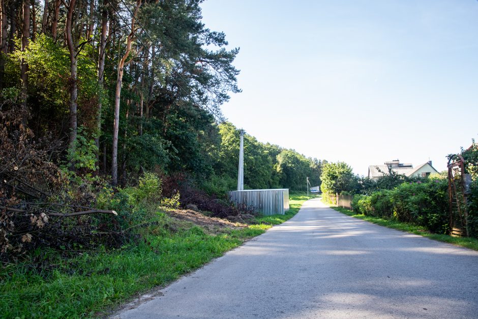 Įžūlumas Karmėlavoje: kad įvažiuotų į sklypą, iškirto parko pušis