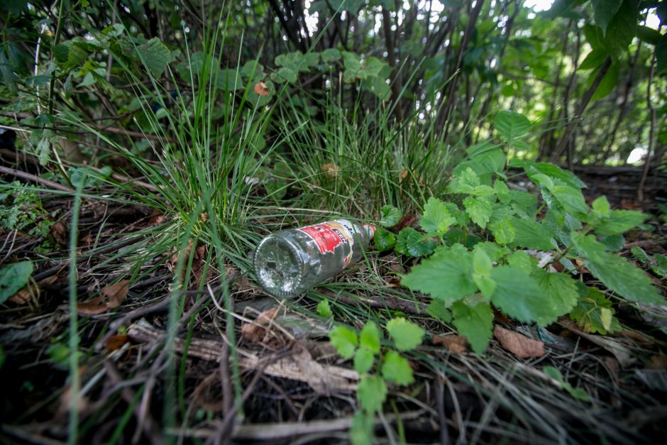 Benamių viešbutis po krūmais: vieni nori būti pakrikštyti, kiti – numirti