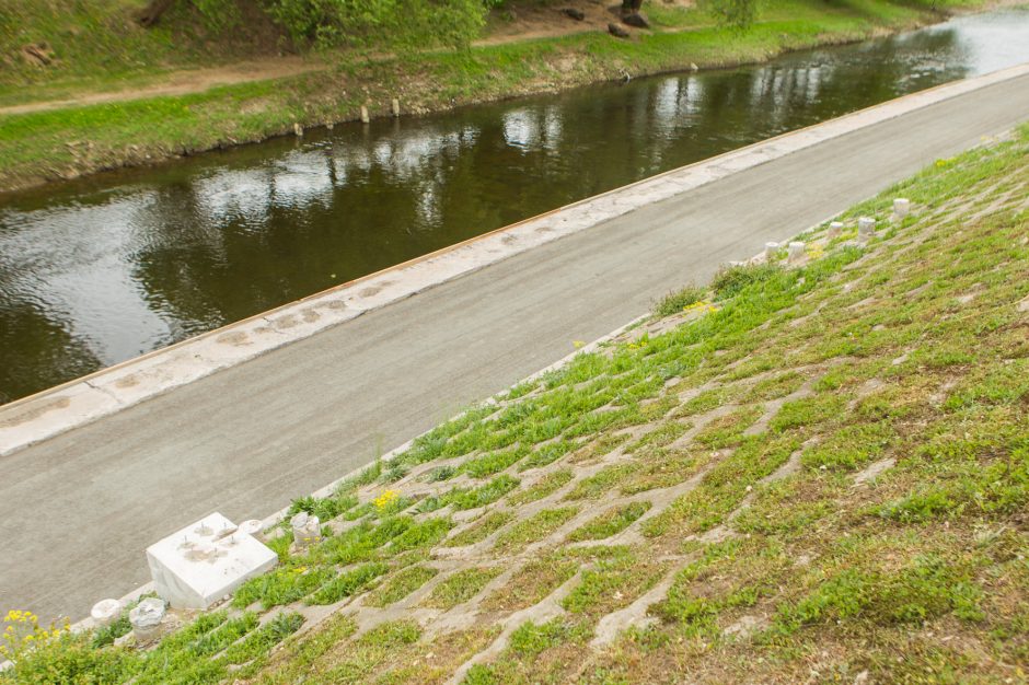 Miestą puošia beveik keturios dešimtys akcentų, vieną autorius turėjo nukelti  