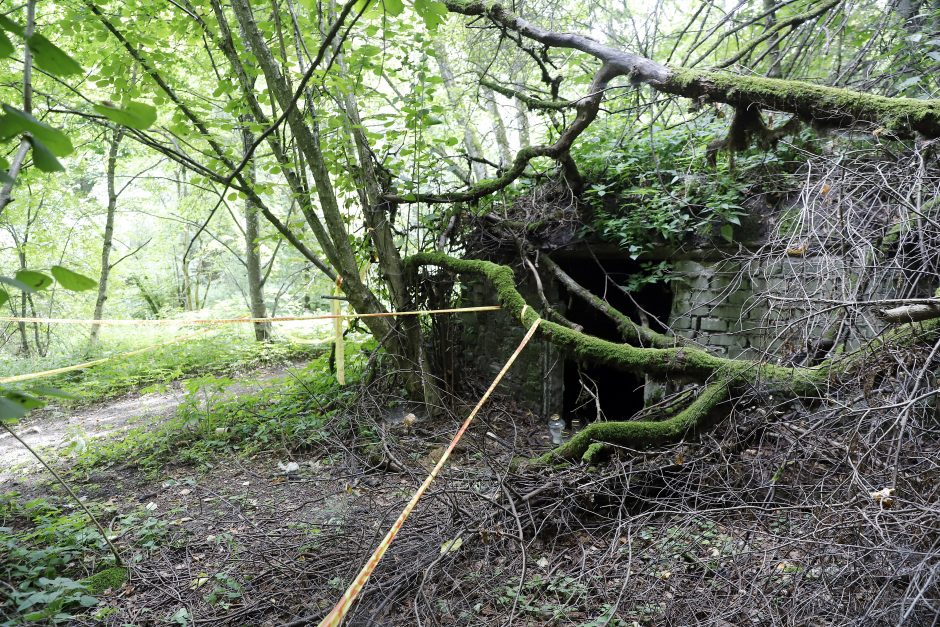 Atskleista šiurpi žirgyno paslaptis: žmogžudystės įrankiu tapo arklio pavadis