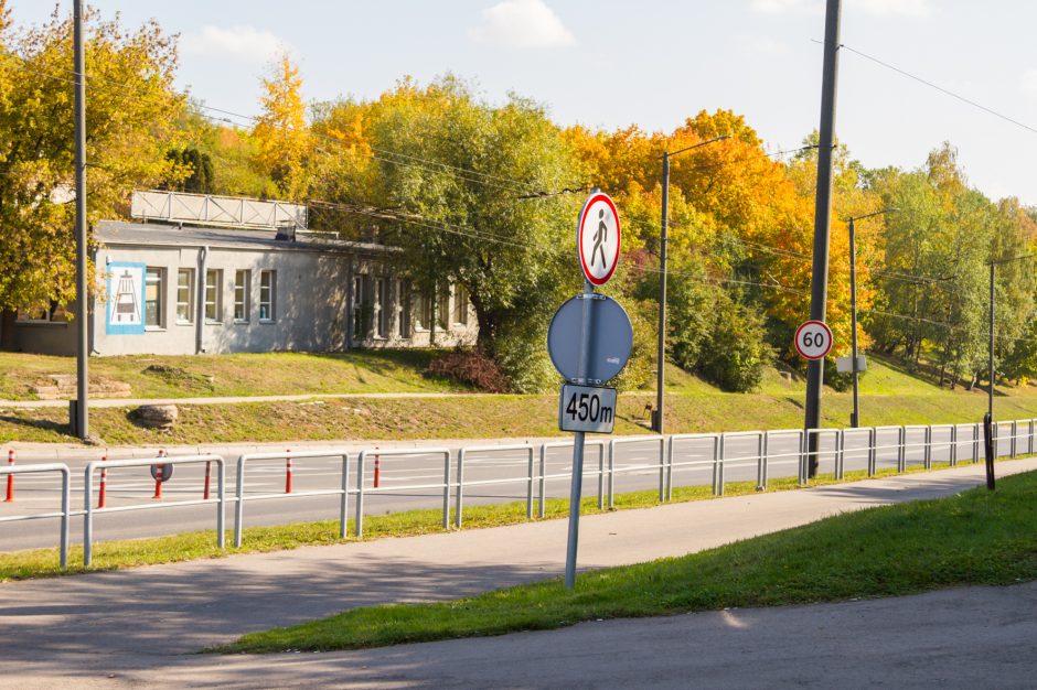 Leistinas greitis padidintas, bet papildomų saugumo priemonių nebus?