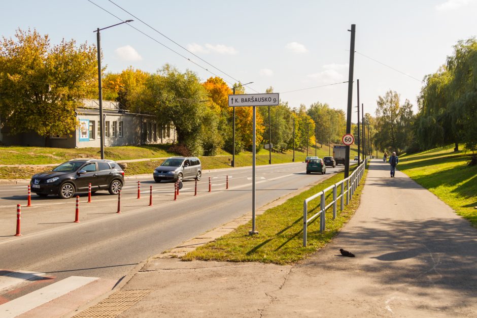 Leistinas greitis padidintas, bet papildomų saugumo priemonių nebus?