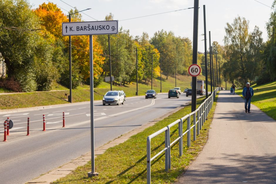 Leistinas greitis padidintas, bet papildomų saugumo priemonių nebus?