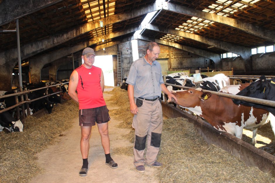 Blogi orai smogė ūkiams: prognozuojami dar vieni liesos karvės metai