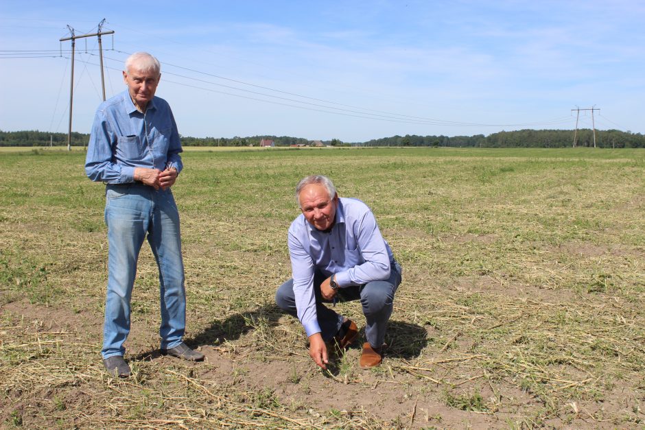 Blogi orai smogė ūkiams: prognozuojami dar vieni liesos karvės metai