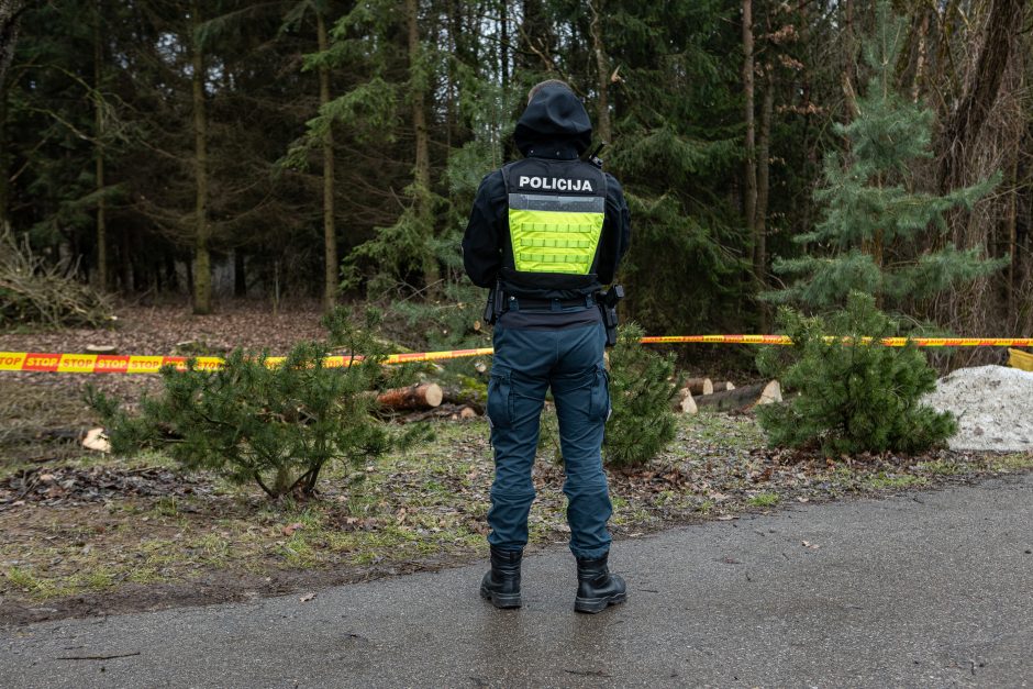 Įžūlumui ribų nėra: pasinaudoję šventėmis į Radikius grįžo nelegalūs medžių kirtėjai? 