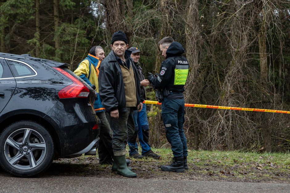 Įžūlumui ribų nėra: pasinaudoję šventėmis į Radikius grįžo nelegalūs medžių kirtėjai? 