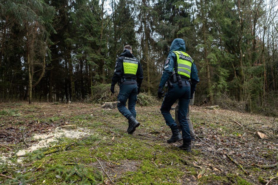 Įžūlumui ribų nėra: pasinaudoję šventėmis į Radikius grįžo nelegalūs medžių kirtėjai? 