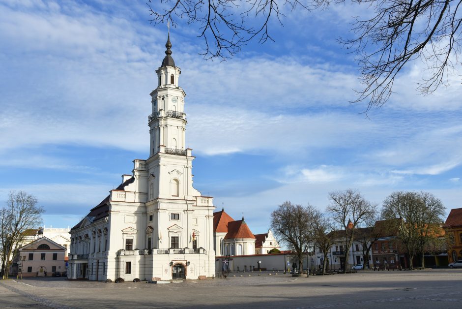 Kauno Baltosios gulbės laukia pokyčiai: architektai pradeda darbą