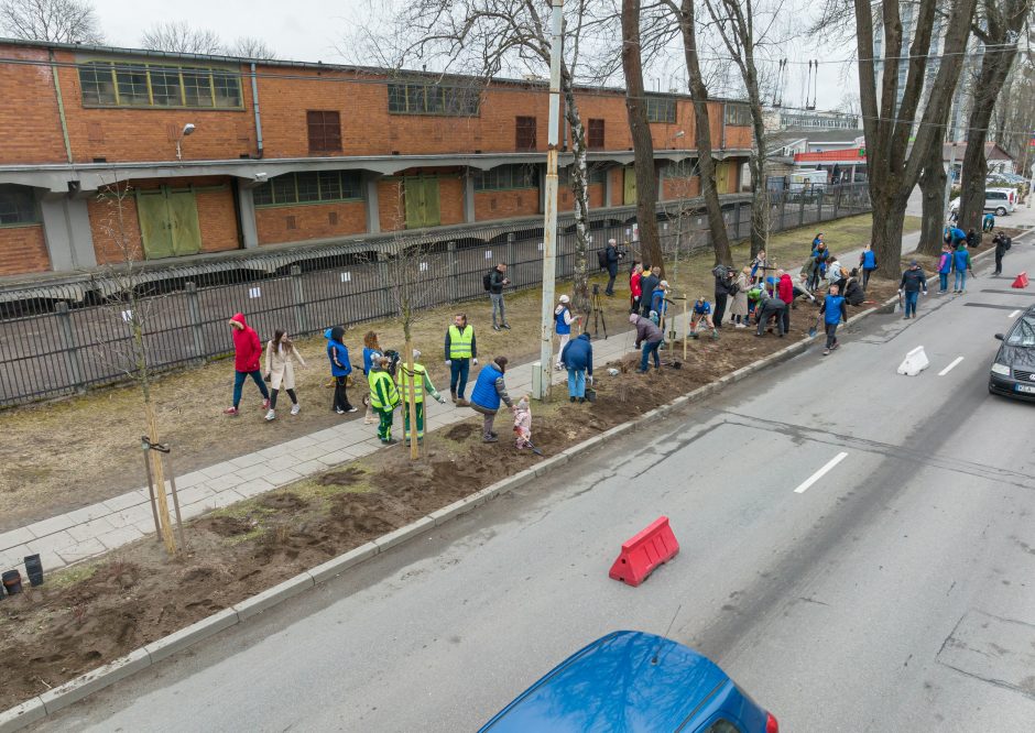 Žalioji Vilniaus banga: mieste pasodinta apie 2 tūkst. krūmų