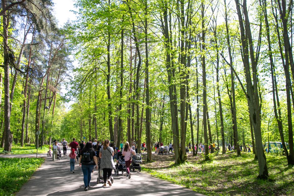 Pasaulinei mamų psichikos sveikatos dienai paminėti skirta eisena sutraukė per 1 tūkst. dalyvių