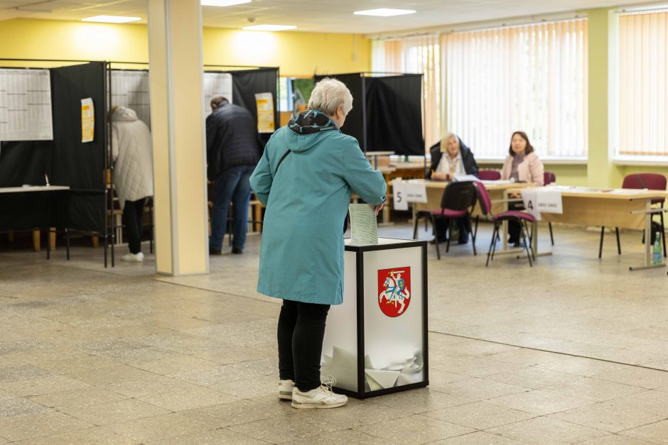 2024-ųjų Seimo rinkimai: laimėjo socdemai, antri – TS-LKD, treti – „Nemuno Aušra“ 