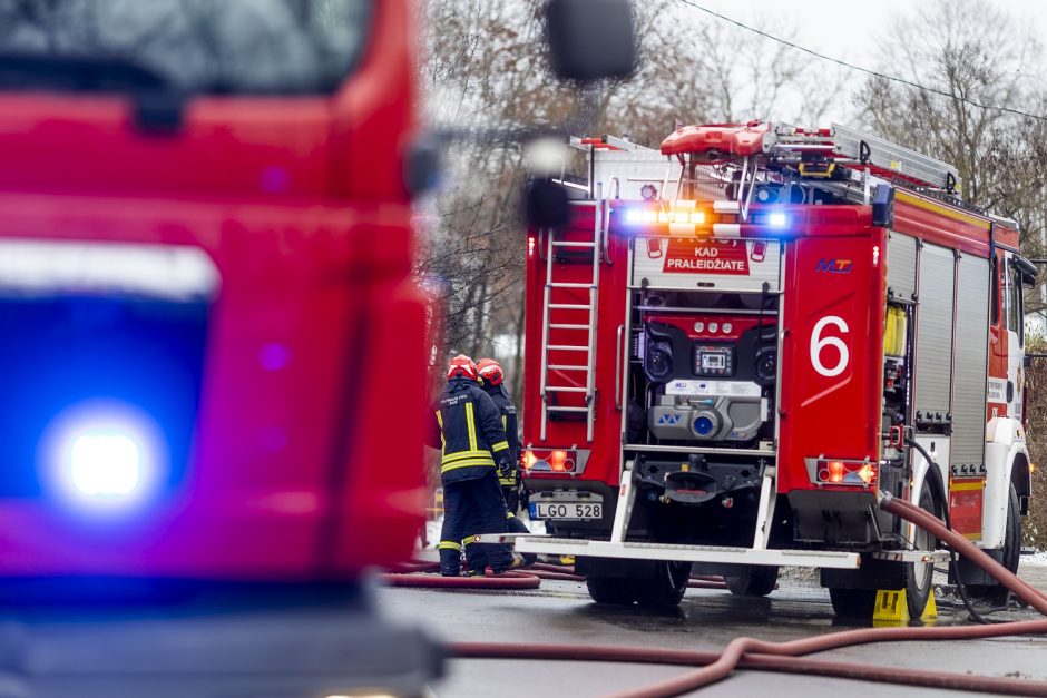 Užsiliepsnojusi eglutė vos nepražudė trijų vaikų: aiškėja, kad gaisrą galėjo sukelti triušis