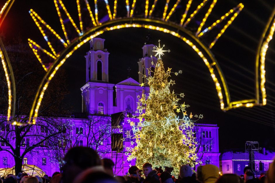 Pasidžiaugti Kauno kalėdine egle liko vos kelios dienos