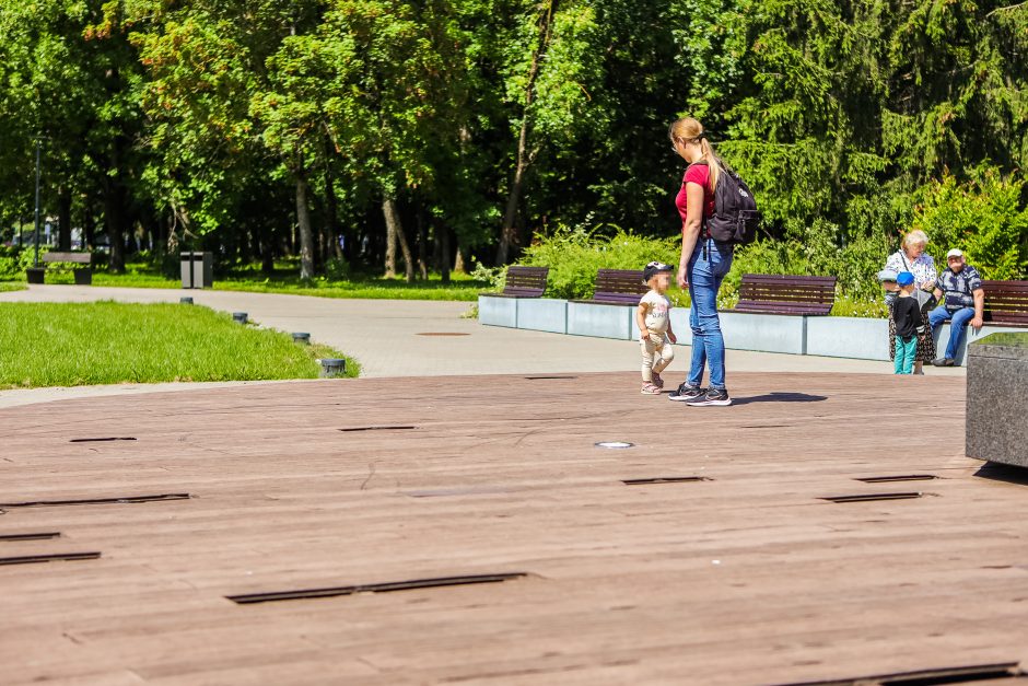 Paaiškėjo, kad Draugystės parką niokoja vandalai