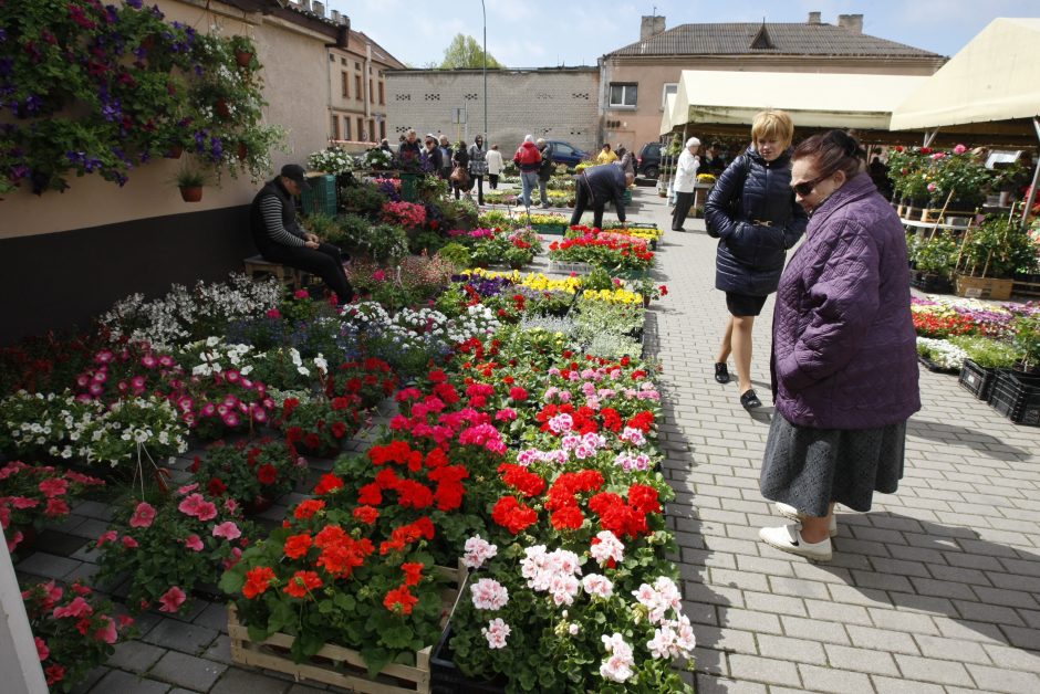 Turgavietėje – pavasario gėrybės