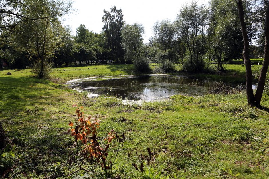 Tvarkys apleisto tvenkinio teritoriją